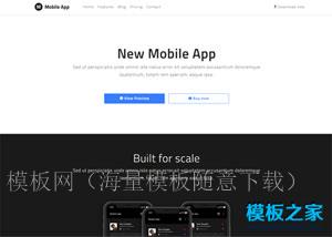 New Mobile App响应式网站模板（带后台）