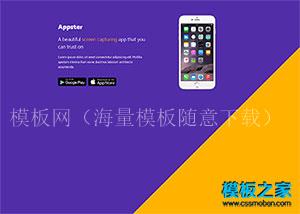 css3斜纹Appster公司开发官网模板（带后台）