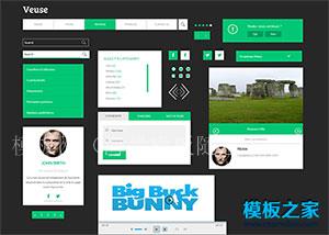绿色UI界面css3代码模块免费下载（带后台）
