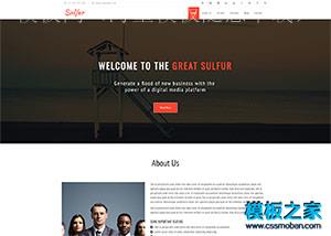 Sulfur橙色UI设计公司企业网站整站模板（带后台）
