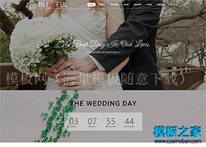 WEDDING婚纱照展示网站模板（带后台）