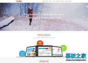 软件开发互联网公司企业html5模板（带后台）