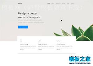 clean Design广告公司html5模板（带后台）