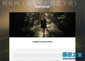 宽屏个人单页博客响应式html5模板（带后台）