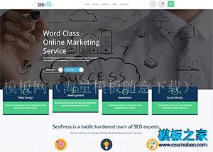 SEO搜索博客自媒体企业网站模板（带后台）