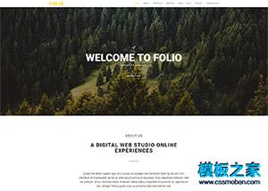 FOLIO宽屏互联网设计公司展示单页模板（带后台）