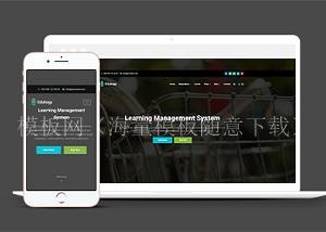 learning网课培训学校响应式模板（带后台）