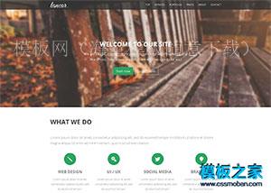 Lancar - Bootstrap单页响应式html5模板（带后台）