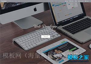 Developer程序员开发者项目网页模板（带后台）