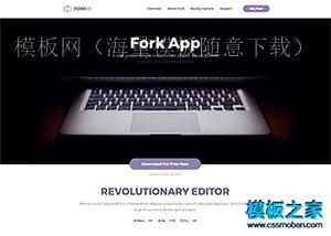 Fork App编程软件工具官网响应式模板（带后台）