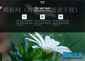 jquery Tab 个人博客简历模板下载（带后台）