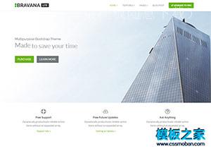 Bravana软件开发公司响应式官网整站模板（带后台）