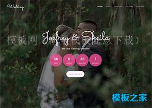 Wedding婚庆公司网站模板下载（带后台）