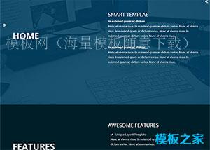 简洁技术开发简历html模板下载（带后台）