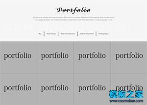 PORTFOLIO项目案例展示企业网站模板（带后台）