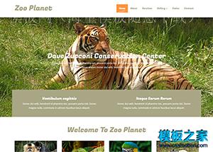简洁动物园响应式html5模板（带后台）