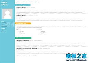 简洁侧栏技术工程师web简历模板下载（带后台）