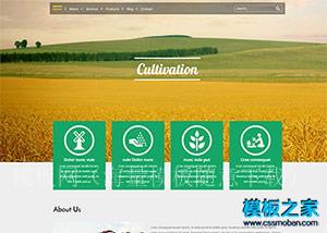 农业集团CSS3动画企业网站模板（带后台）