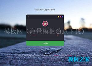 漂亮Login登陆Form表单html5模板（带后台）