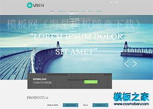 web ui项目开发公司官网企业模板（带后台）