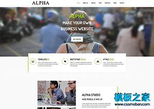 Alpha商业咨询公司css3动画模板（带后台）