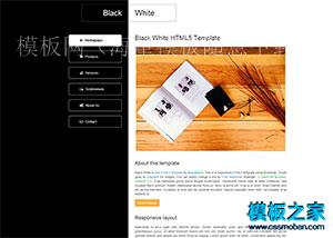 黑色相间个性二栏html5博客模板（带后台）