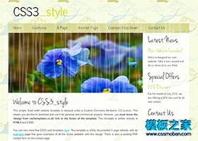 插画树背景小清新英文博客css3模板（带后台）