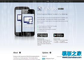 黑色大气的APPLE APP企业展示模板（带后台）