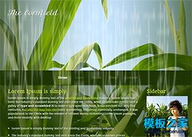 绿色植物背景html5模板（带后台）