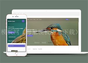 专业鸟类百科HTML网站模板（带后台）