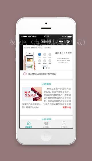 科技公司小程序科技网站首页模板源码下载（带后台）
